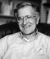 Noam Chomsky talks about critical periods for learning
