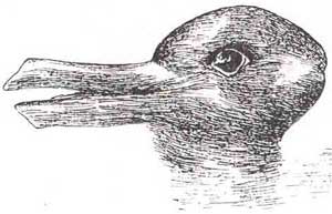 Optical illusion: Duck and Rabbit